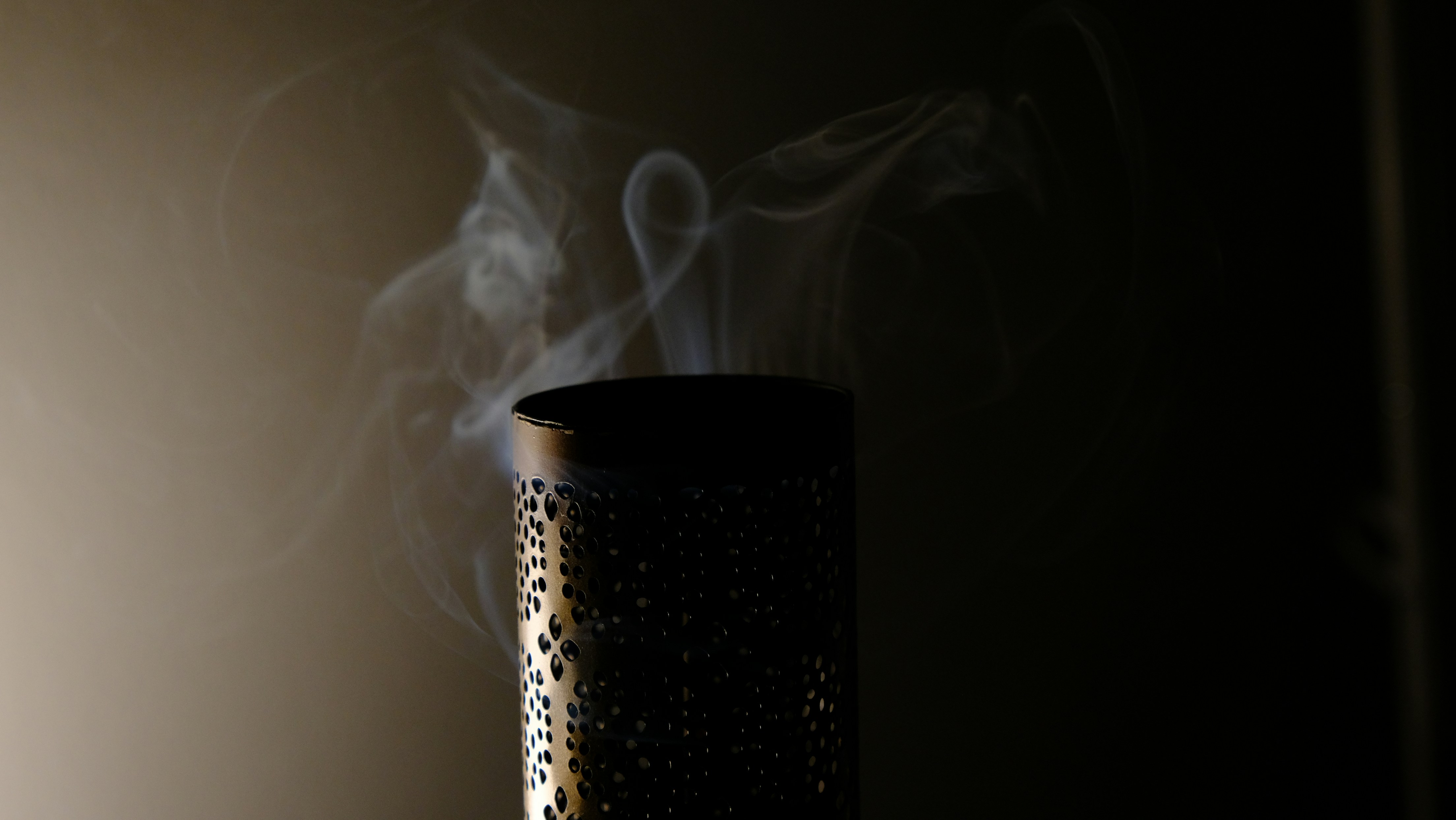 公園のベンチで読書をする女性